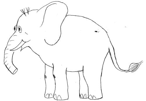 This is an ELEPHANT.  It doesn't look much like a DOG